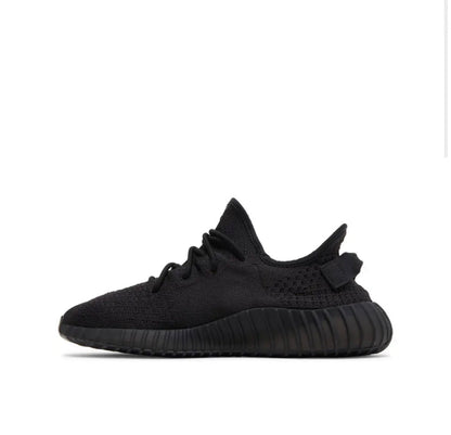 Shoes-350v2